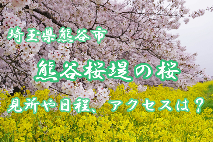 熊谷桜堤の桜とは？見所や日程、アクセス情報をご紹介！