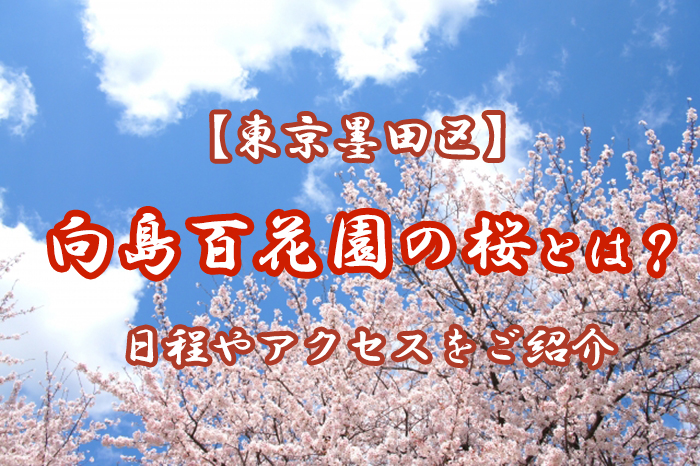東京墨田区 向島百花園の桜とは 日程やアクセスをご紹介します 御パンダと合理天狗の雑記